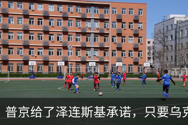 普京给了泽连斯基承诺，只要乌克兰做到这一点，俄军很愿意停火